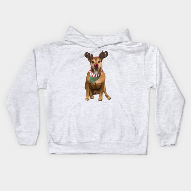 Dog with Reindeer Antlers Kids Hoodie by calliew1217